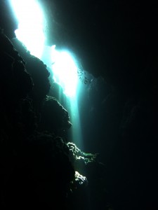 P1040303