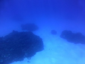 P1040330