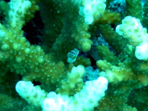 P1040362