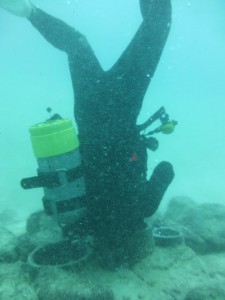 P1040384