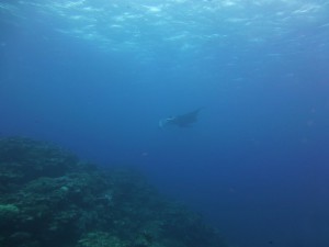 P1040401