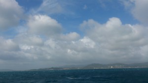 DSC_1110 (1)