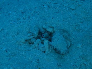 IMG_0069