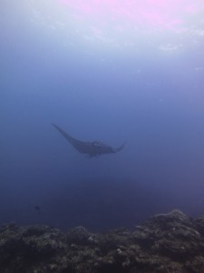 IMG_0182