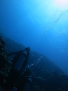 IMG_0185