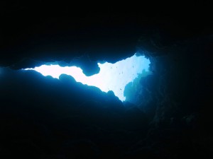 IMG_0337