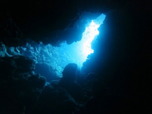 IMG_0342
