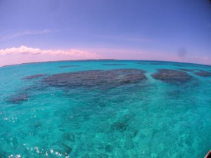 IMG_1082_R