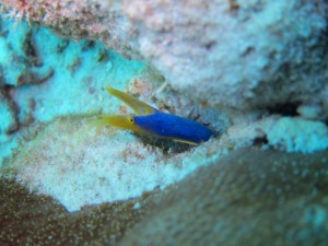 IMG_1109_R