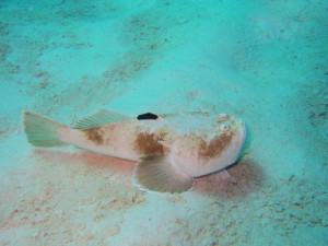 IMG_1120_R