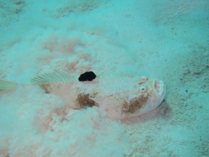 IMG_1122_R