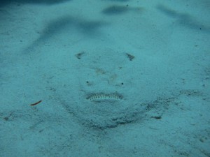 IMG_1127_R