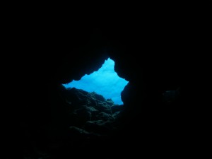 IMG_1461