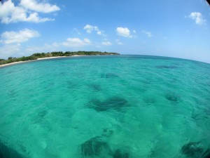 IMG_1512