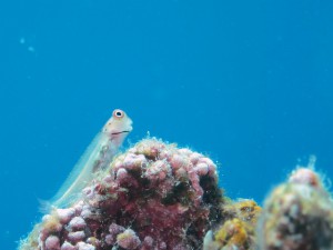 IMG_1590