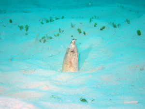 IMG_1723
