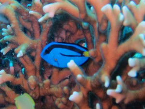 IMG_1739