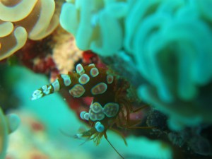 IMG_3776