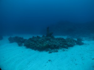 IMG_3851