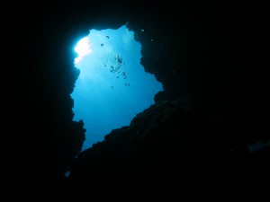 IMG_3866