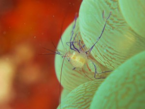 IMG_3928