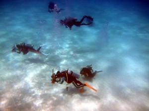 IMG_7341