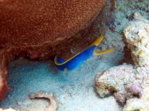 IMG_7359