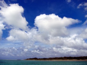 IMG_7426