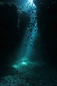 IMG_7662