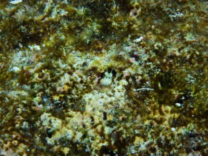 P1040846