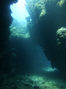 P1050009