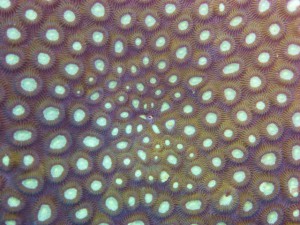 P1050119