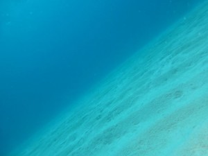P1050925_R