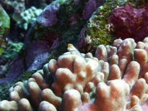 P1080149