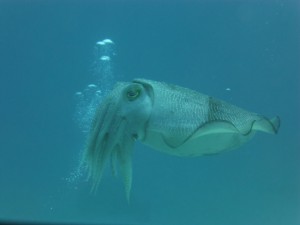 P1080961