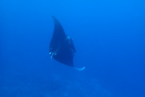 PC170287