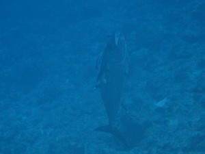 IMG_7821