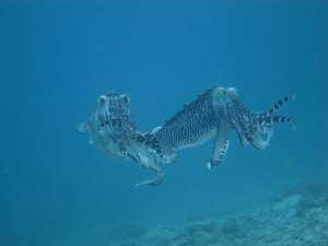 IMG_7855