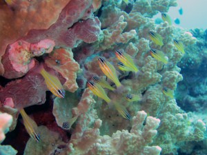 IMG_8790