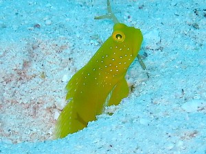 IMG_8668