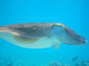 IMG_9338