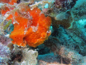 IMG_9801