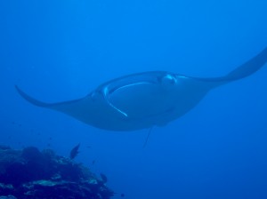 IMG_9190