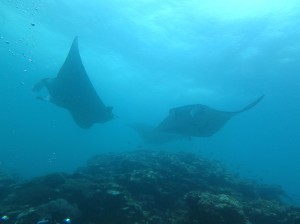 IMG_9708