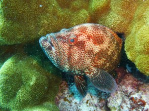 P1100816