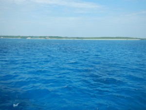 DSCN0463