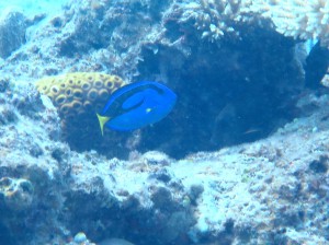 IMG_0228