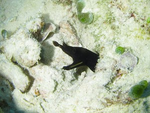IMG_0277