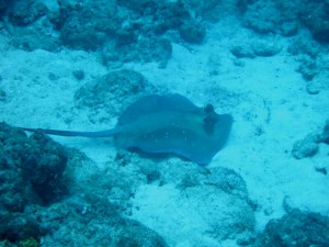 IMG_0279