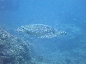 IMG_0281